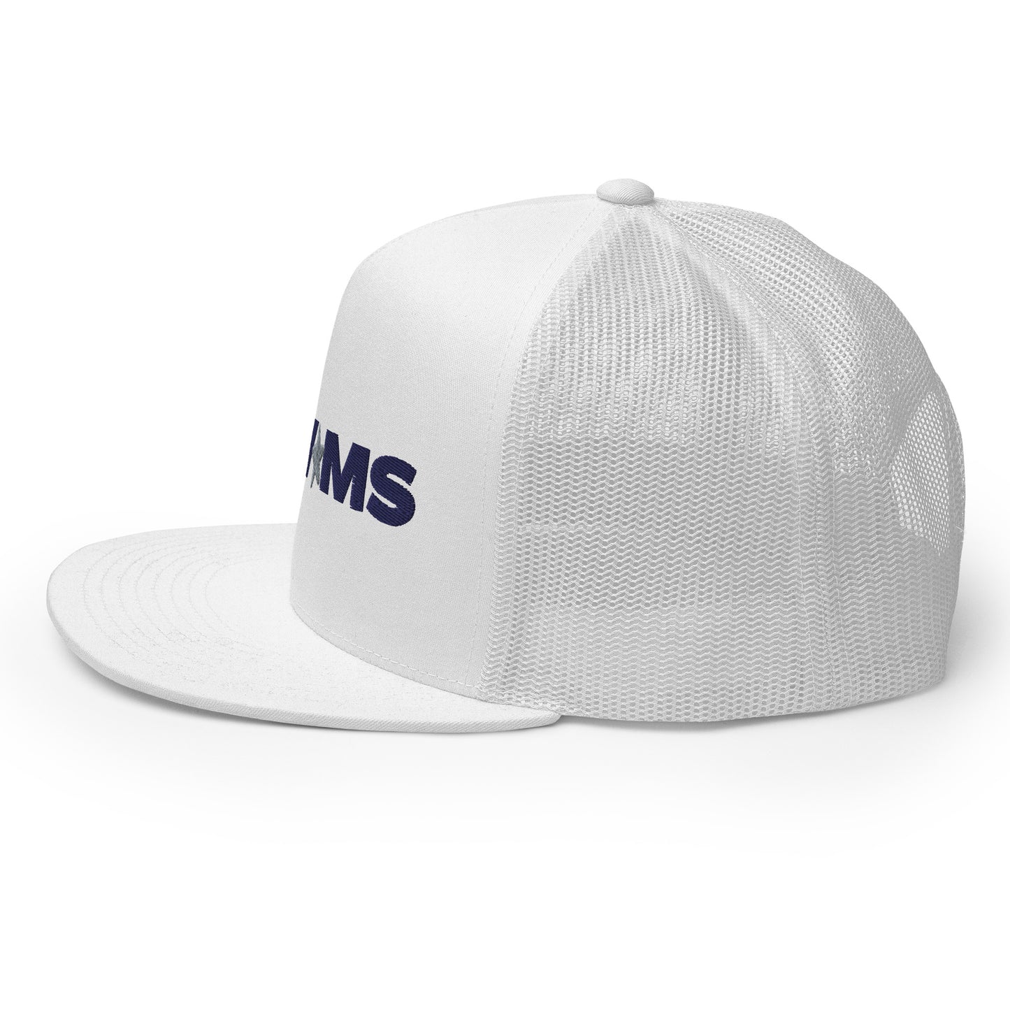 Water Valley Mississippi Trucker Cap